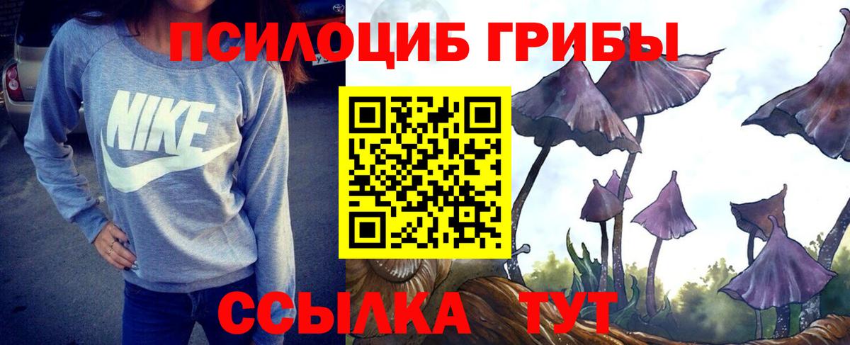 Псилоцибиновые грибы ЛСД  Вход с VPN  как найти наркотики  Черняховск 